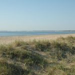 Wie Sand am Meer