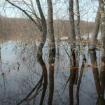 Hochwasser am Penobscot