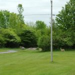 Rehe und Gänse am Long Sault Parkway