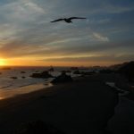 Sonnenuntergang im Harris Beach State Park, Brookings, OR