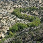 Kleiner Fluss bei Boulder, UT