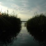 Schwielowsee