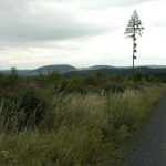 Viele MTB Wege
