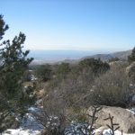 Looking west