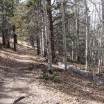 Easy hike for the lower half