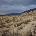 Sandia Foothills in der Nähe des Embudito Canyons