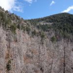 Der obere Teil des Pino Trails