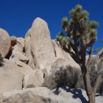 Houser Buttress in Real Hidden Valley