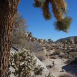 Near Real Hidden Valley