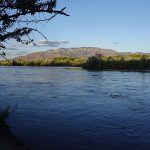 Am Rio Grande mit Sicht auf Sandia Peak